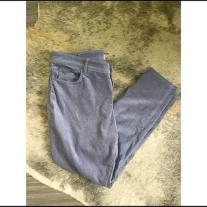 Loft Plus Skinny Fit Pants